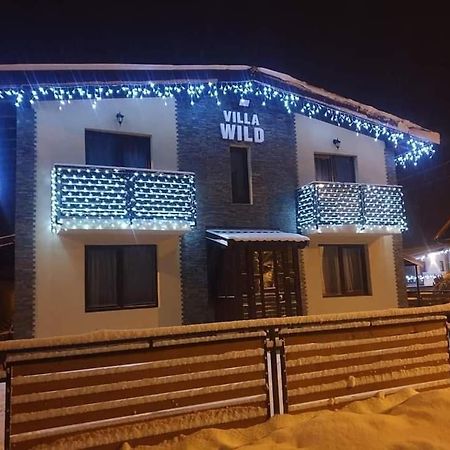 Villa Wild Petroşani Dış mekan fotoğraf