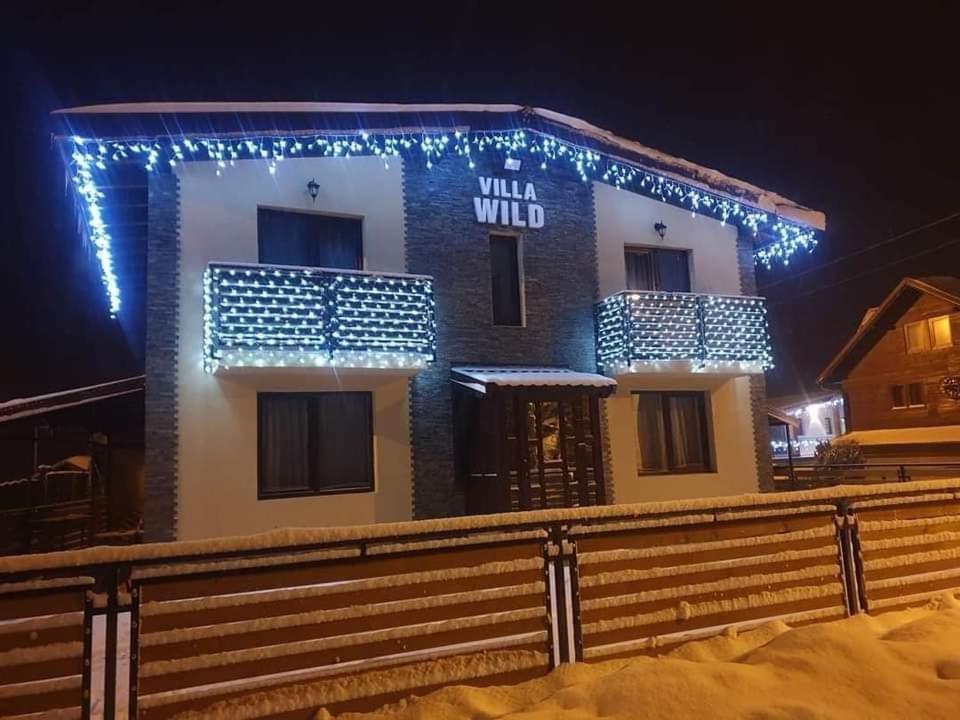 Villa Wild Petroşani Dış mekan fotoğraf